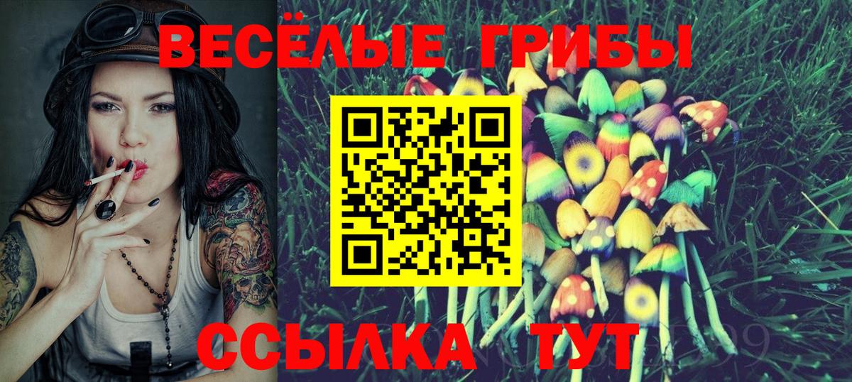 хочу наркоту  Галлюциногенные грибы GOLDEN TEACHER  Вход с VPN  Ханты-Мансийск 